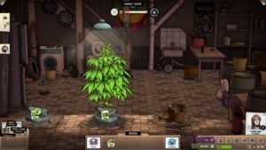 Weedcraft Inc Review 12 3521689 plants