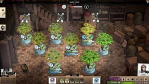 Weedcraft Inc Review 13 TZYJ5YDmPAwGGwH9NVCVri 480 80