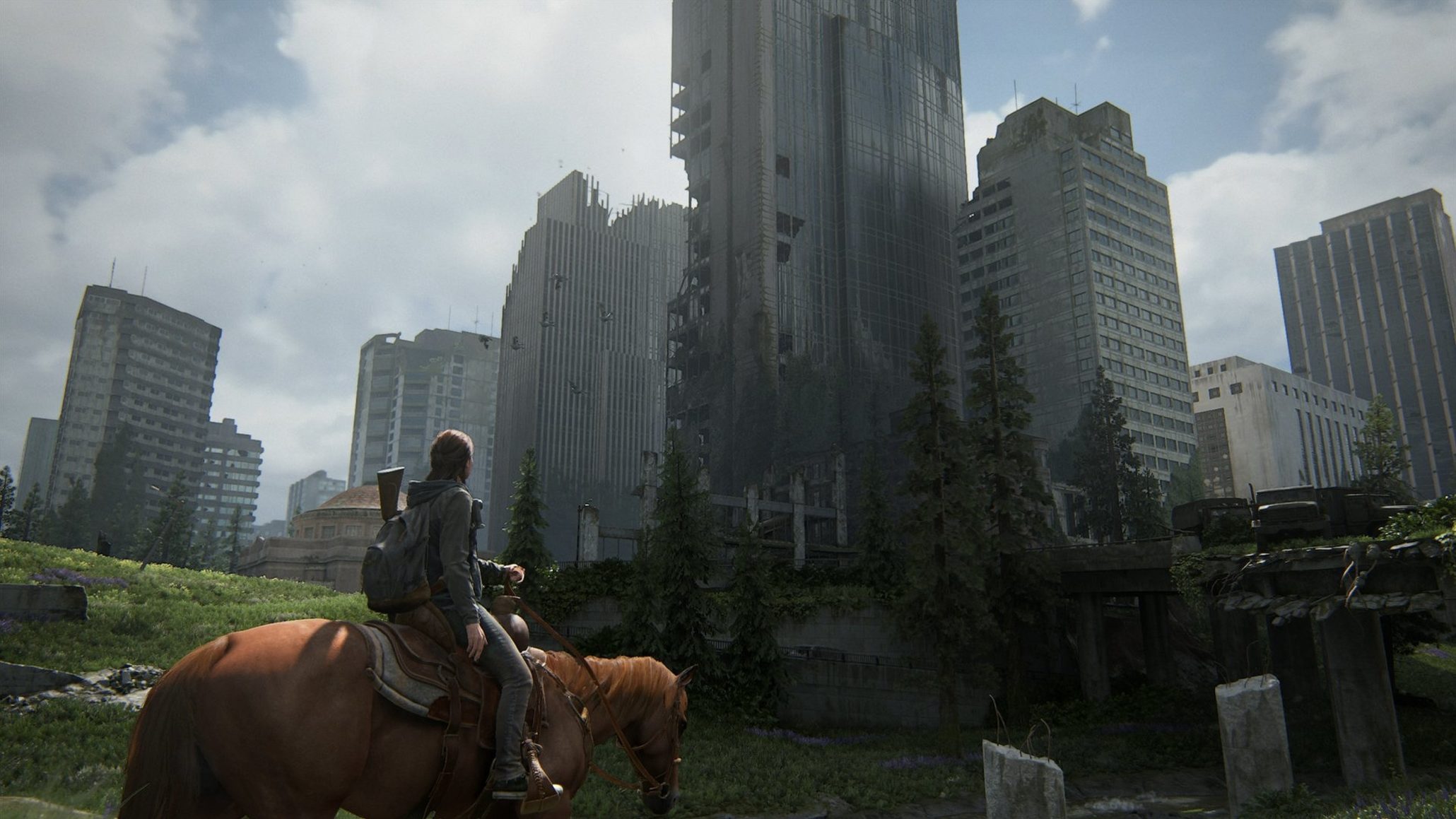 the last of us part 2 horse city