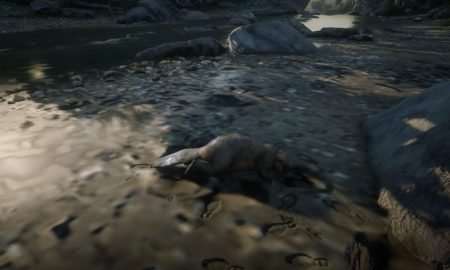 Beaver Location 1300x731 1