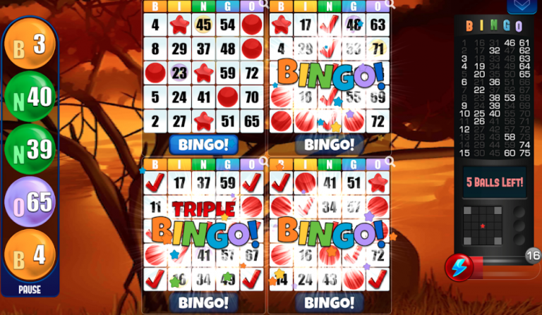 Pala Bingo USA instaling