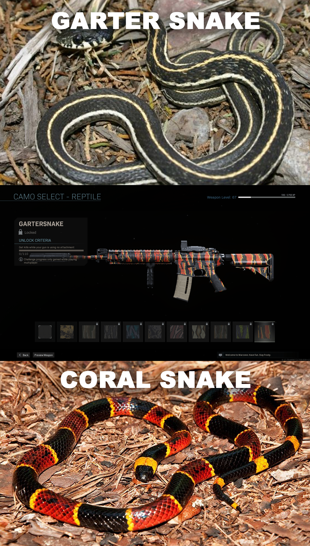 Call of Duty: Modern Warfare Players Notice Inaccurate Gun Camo