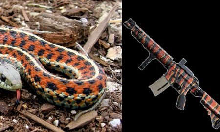 Call of Duty: Modern Warfare Players Notice Inaccurate Gun Camo