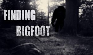 Finding Bigfoot PC Full Version Free Download