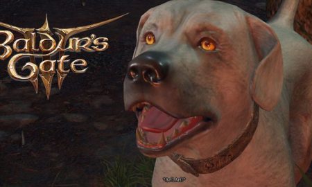 Baldur's Gate 3 Players Have Pet the Dog 400 Thousand Times