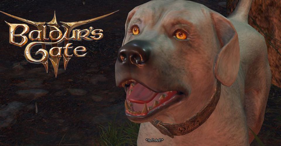 Baldur's Gate 3 Players Have Pet the Dog 400 Thousand Times