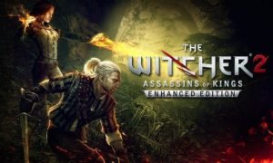the witcher 2 assassins