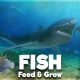 Feed and Grow Fish iOS Latest Version Free Download