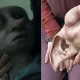 Harry Potter: Why Dobby's Death Is The Most Heartbreaking