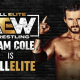 AEW Video Game Roster Can Now Add Adam Cole and Bryan Danielson to the Mix
