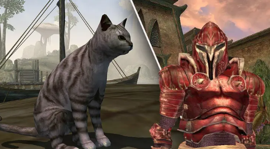 Parent Mods Family Cat into 'Morrowind" To Protect Children From Monsters