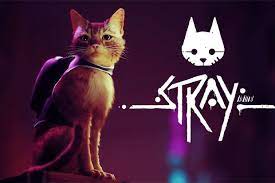STRAY pre-order, the third-person (feline adventure game) you need