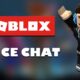 Enabling Voice Chat In Roblox: Guide (August 2022)