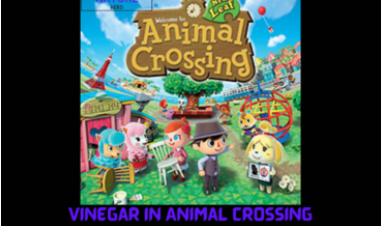 Vinegar In Animal Crossing New Leaf: How To Obtain?