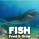 FEED AND GROW: FISH iOS/APK Full Version Free Download