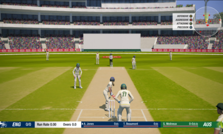 Cricket 19