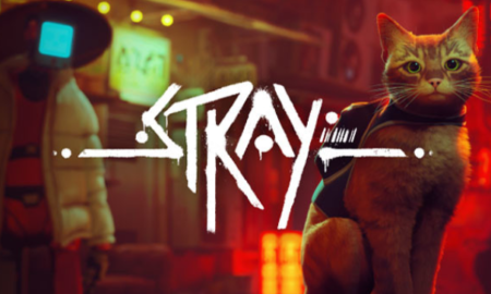 Stray